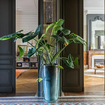 La Maison Mulato ゲストハウス